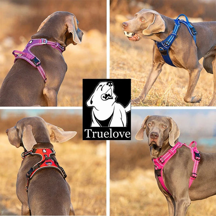 No Pull Harness Pink M - Image 3
