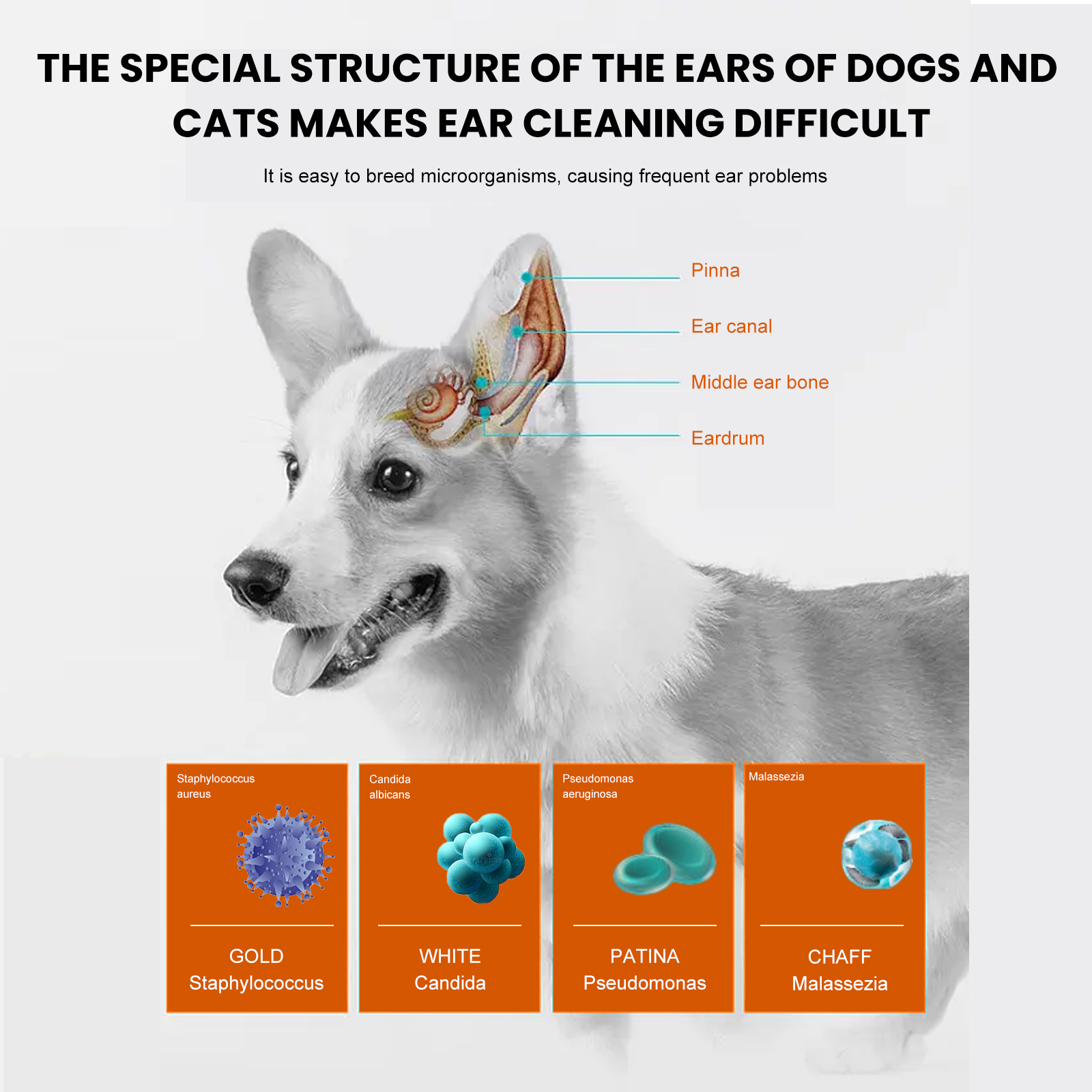 Yegbong Pet Ear Wipes, Pet Ear Cleaning Deodorizing Removing Mite And Earwax Cleaning Wipes - Image 10